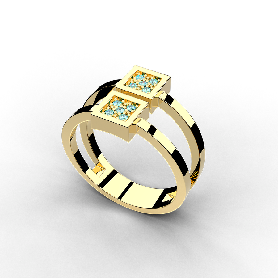 Anillo Salines