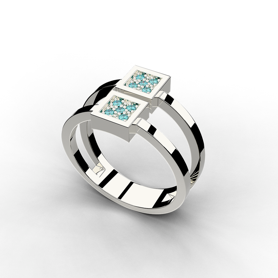 Anillo Salines